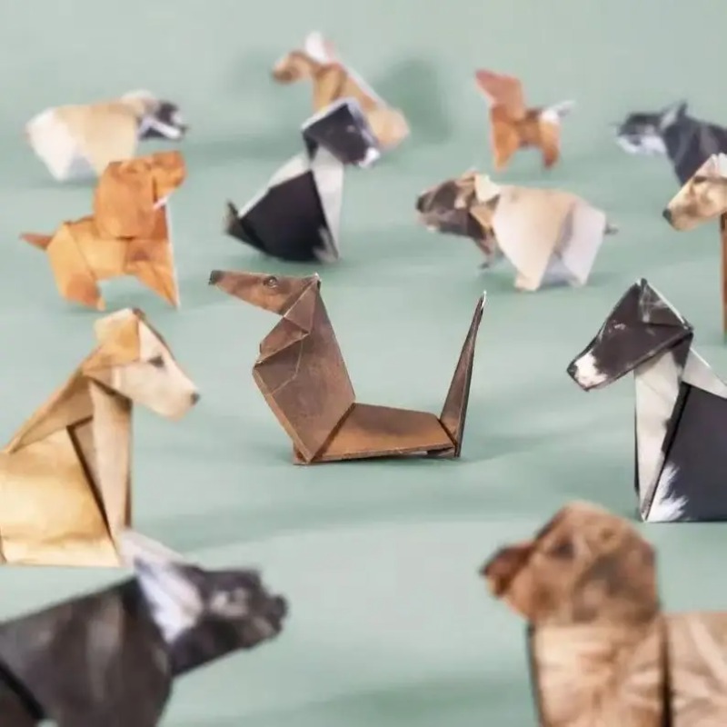 50Pcs DIY Origami Paper Kit Ca - Dinosaur And Craft recensie en prijs