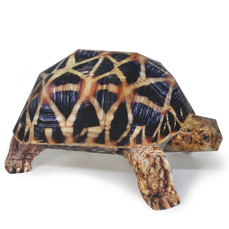 Indian Star Tortoise Paper Mod - Art Craft Center recensie en prijs