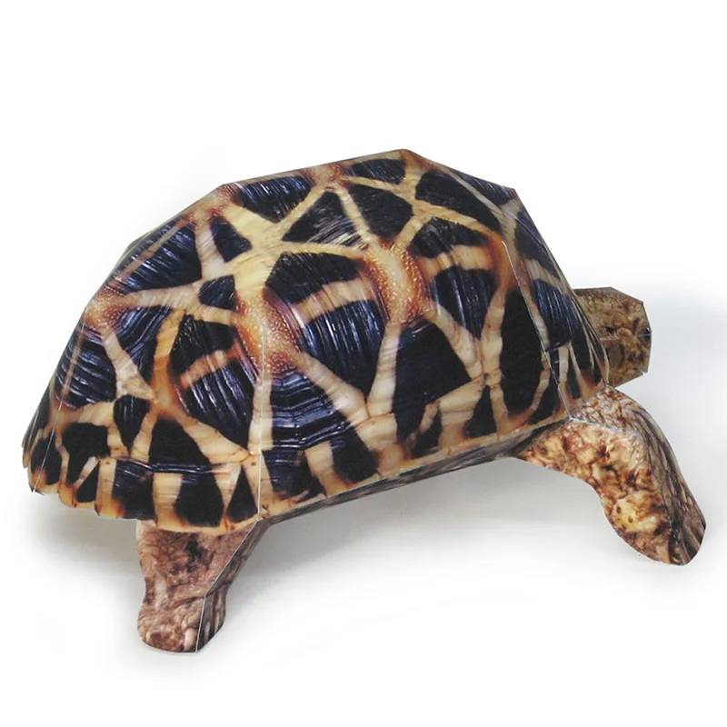 Indian Star Tortoise Paper Mod - Art Craft Center recensie en prijs