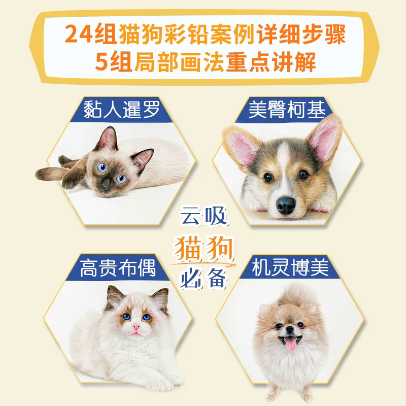 Lovely Cats and Dogs Color Pen - Art Craft Love recensie en prijs