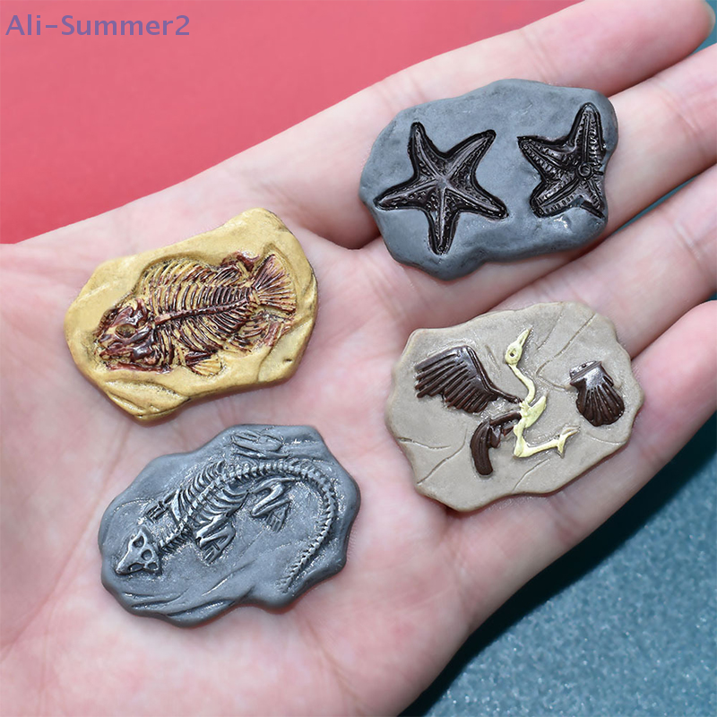 Mini Dinosaur Fossil Model Set - Dinosaur And Craft recensie en prijs