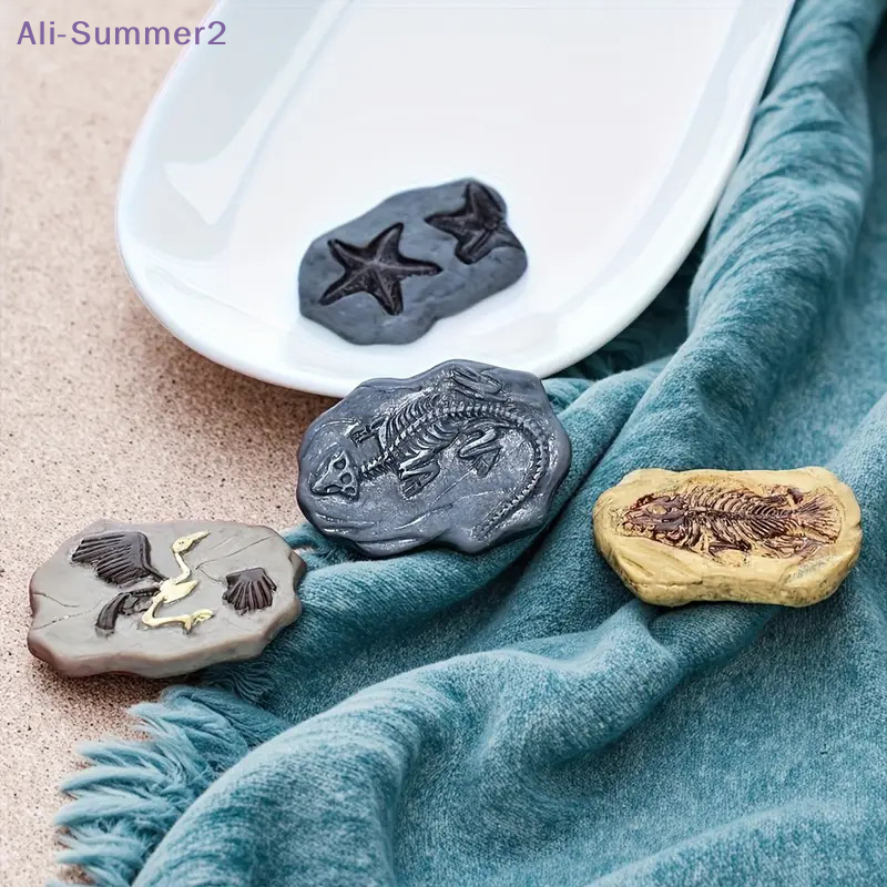 Mini Dinosaur Fossil Model Set - Dinosaur And Craft recensie en prijs
