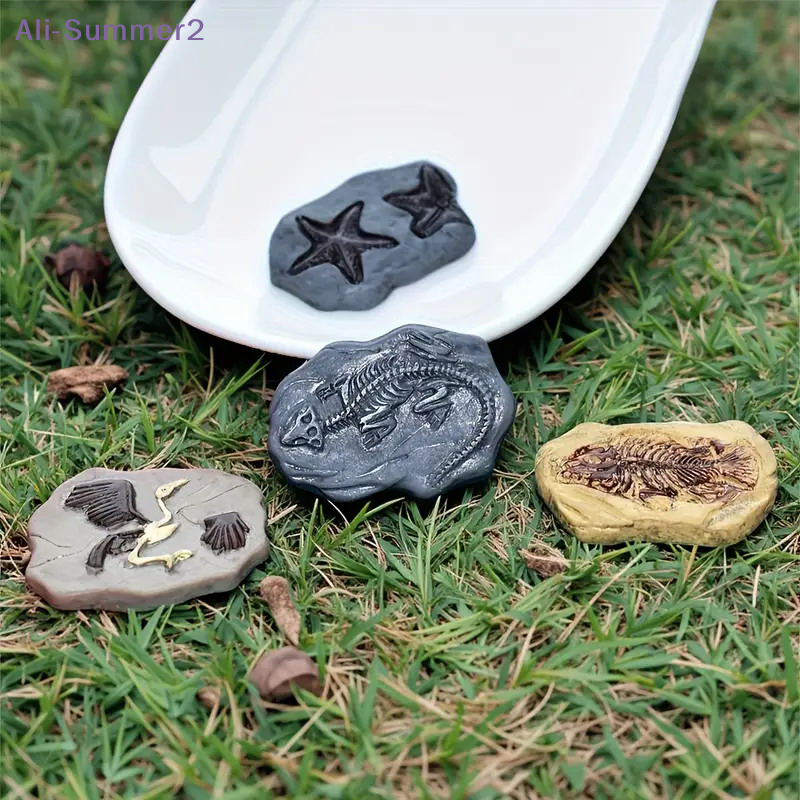 Mini Dinosaur Fossil Model Set - Dinosaur And Craft recensie en prijs