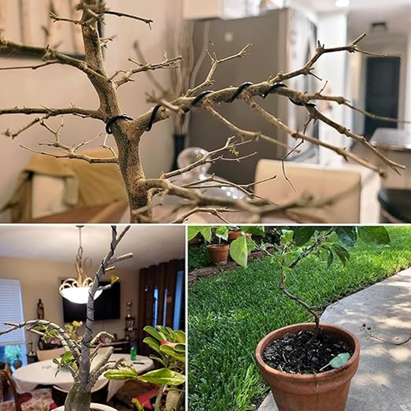 1mm Black Aluminum Bonsai Wire - Art Craft Wire recensie en prijs