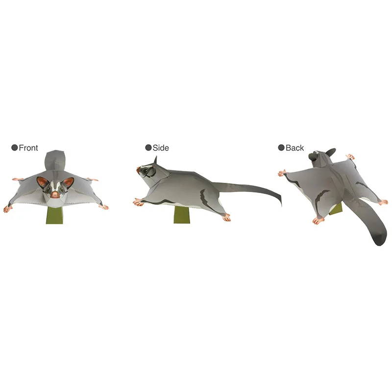 Sugar Glider Flying Mouse Hand - Art Craft Center recensie en prijs