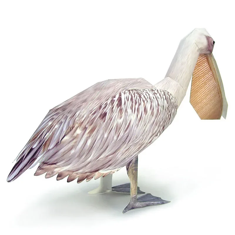 Great White Pelican Bird Paper - Art Craft Center recensie en prijs